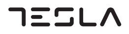 tesla-removebg-preview